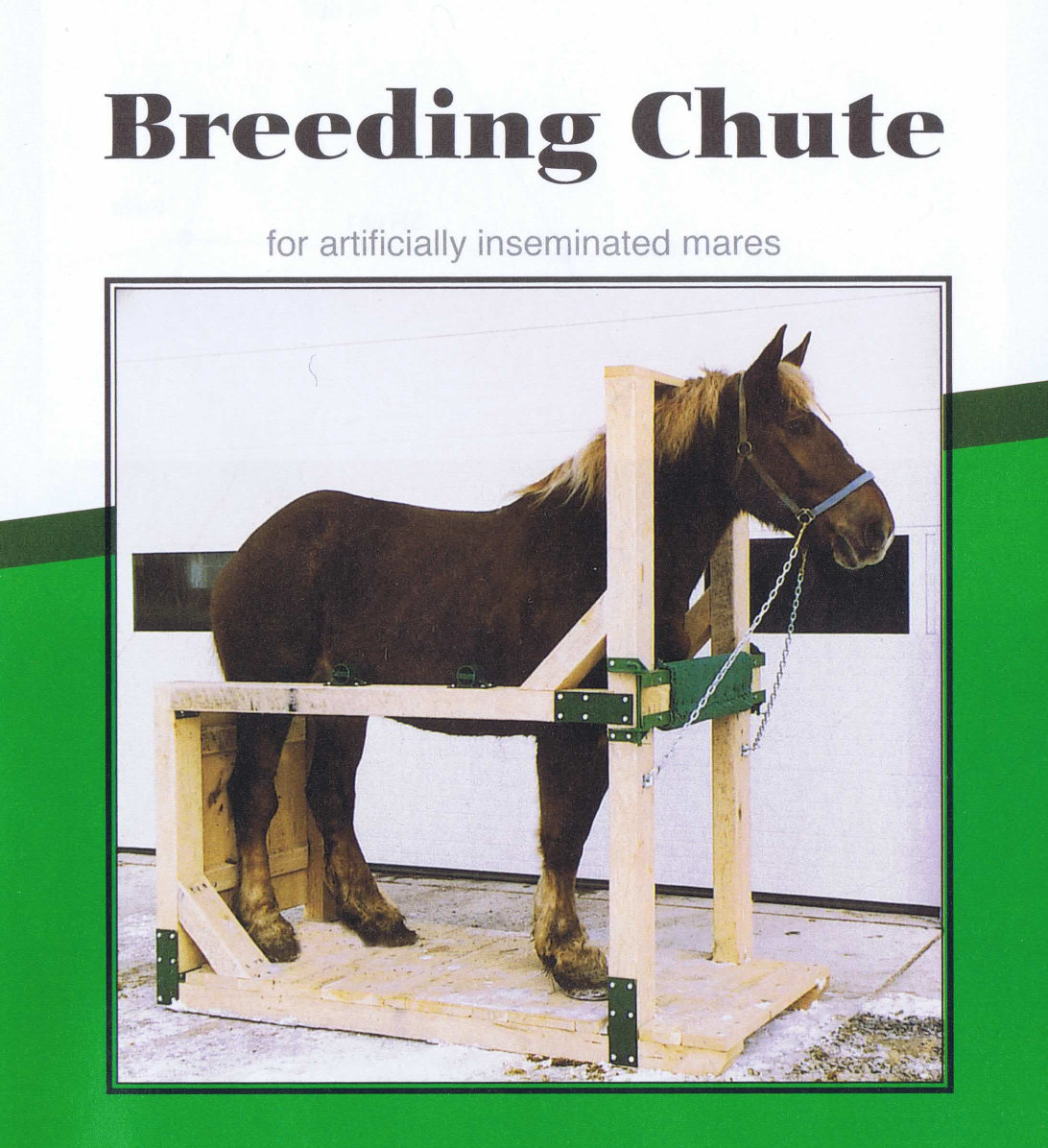 Breeding chute picture